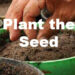 Plant the Seed