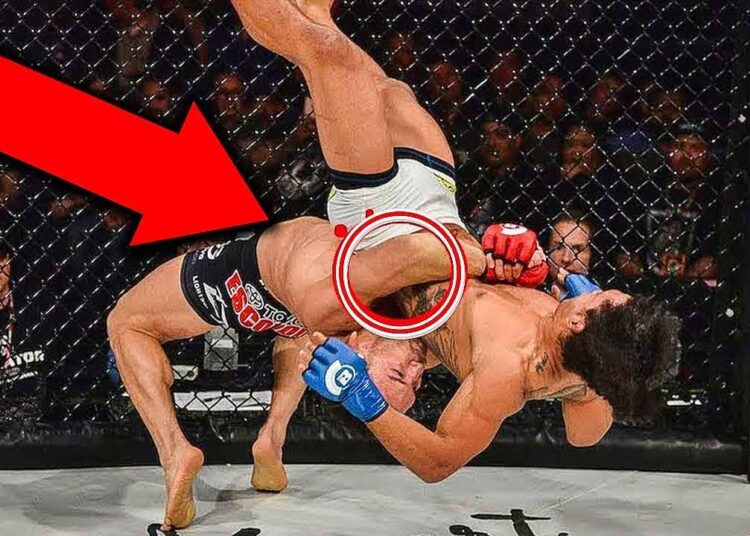 “Tuesday Technique” Video WWE Moves That Were Used in PRO MMA Fights!!