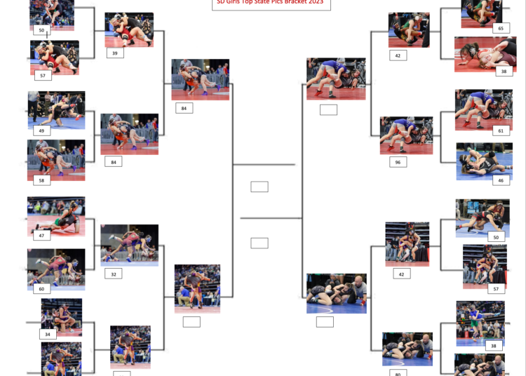 Final 4 SD Girls State Picture Contest