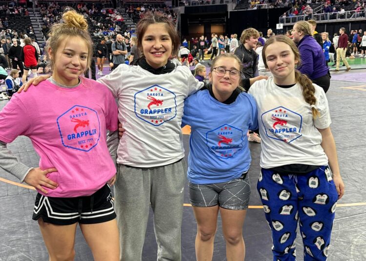 SDHSAA State Girls Final Brackets 2024