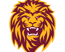 Lion Holiday Results